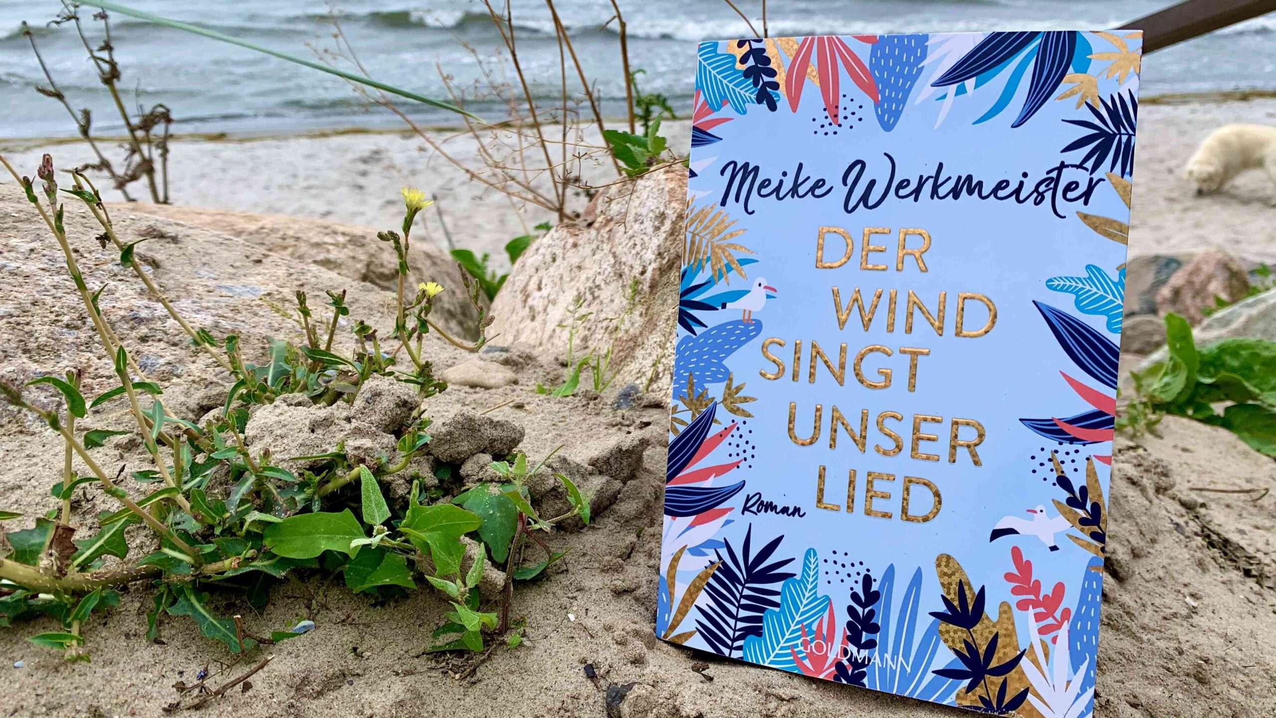 Read more about the article „Der Wind singt unser Lied“ von Meike Werkmeister