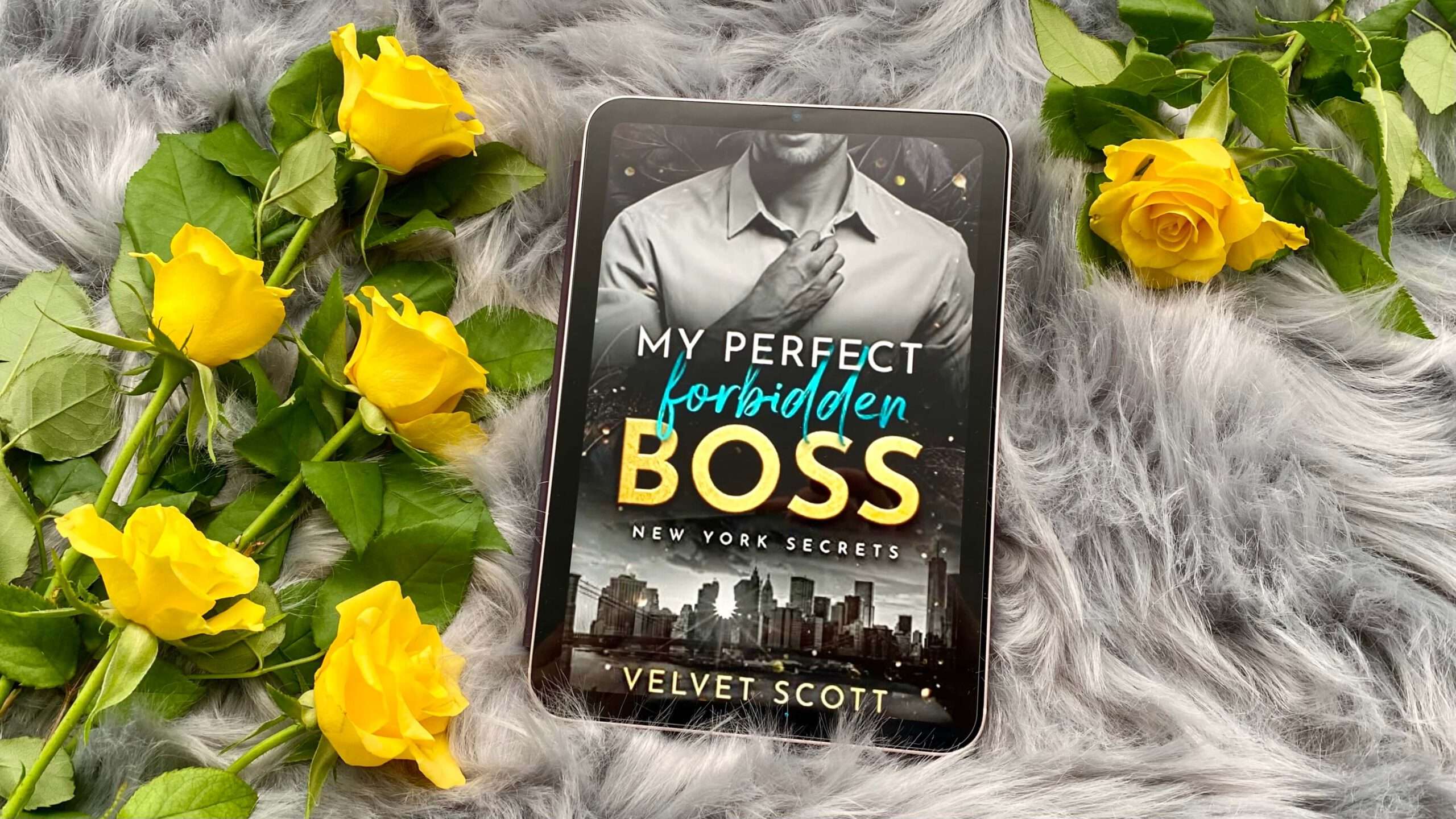 Read more about the article „NEW YORK SECRETS – My perfect forbidden Boss“ von Velvet Scott