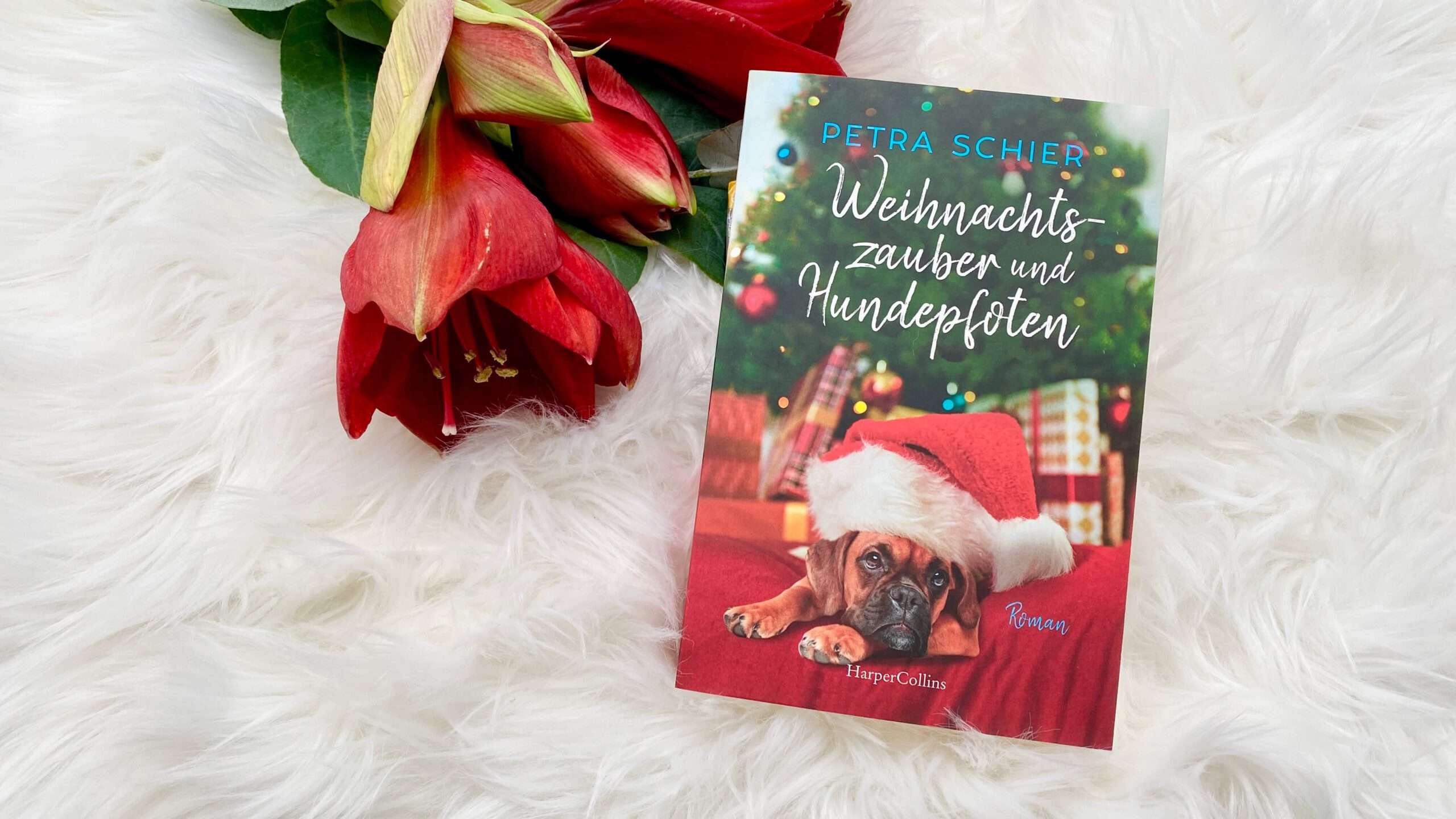 Read more about the article „Weihnachtszauber und Hundepfoten“ von Petra Schier